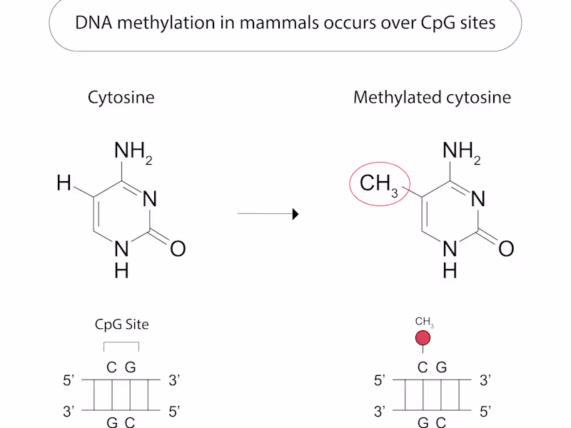 Cover image for I will upgrade your Scientific figures and other visuals