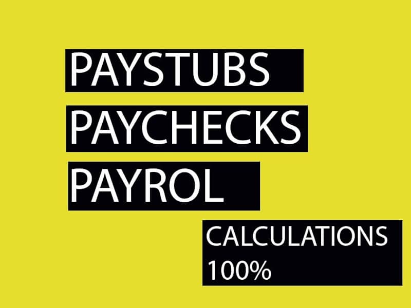 Cover image for I will create pay stubs, payroll wage earning statements sli