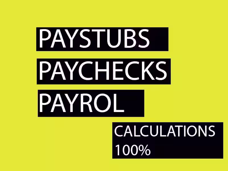 Cover image for I will create pay stubs, payroll wage earning statements sli
