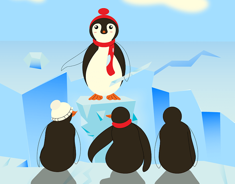 Cover image for Portfolio