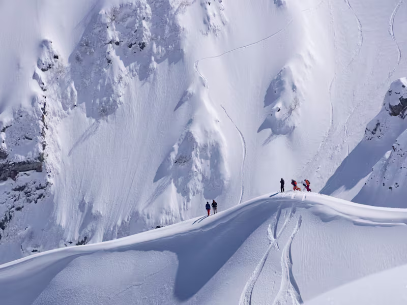 Cover image for Social Media Management