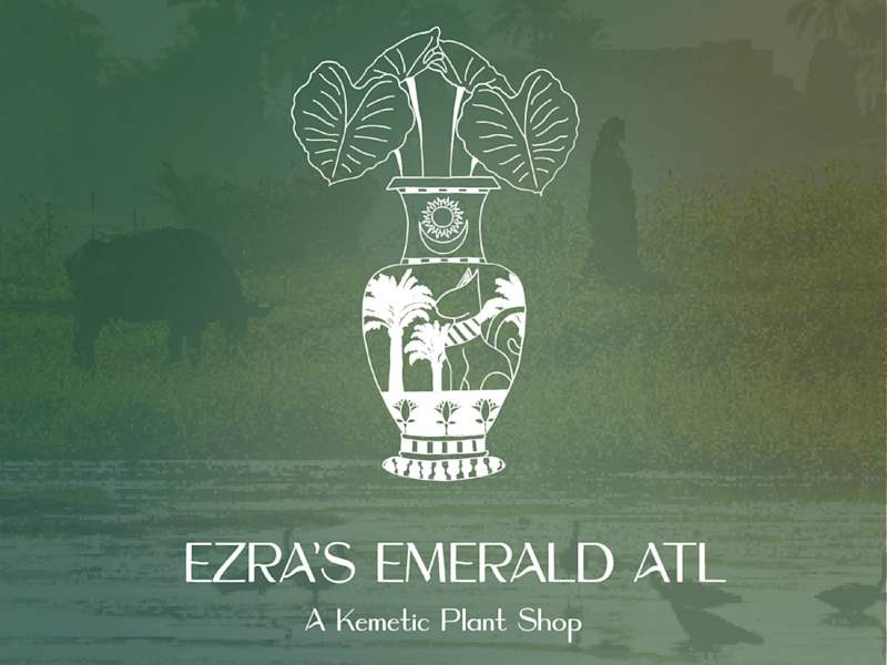 Cover image for Ezra's Emerald ATL | Illustrative Brand Design