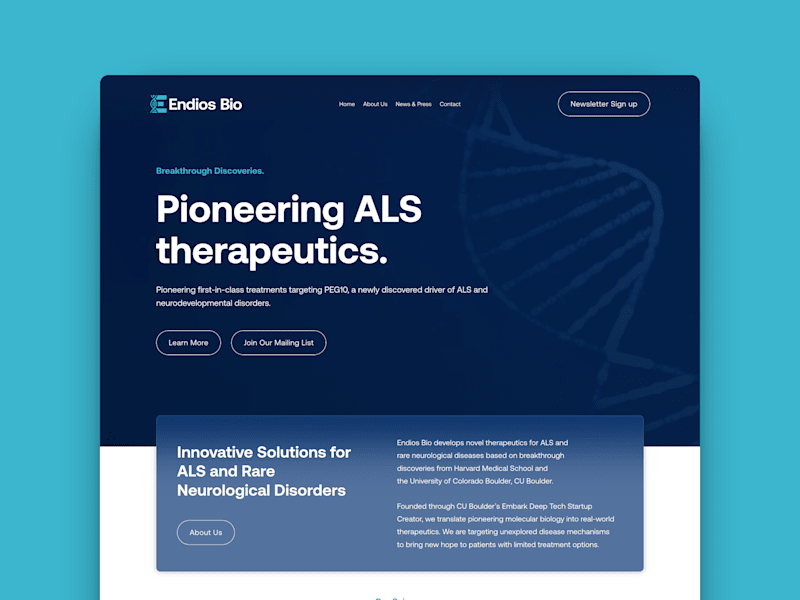 Cover image for Endios Bio Brand Identity and Framer Website Development