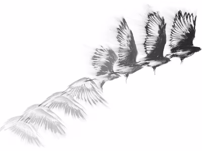 Cover image for Sketches — sreavic