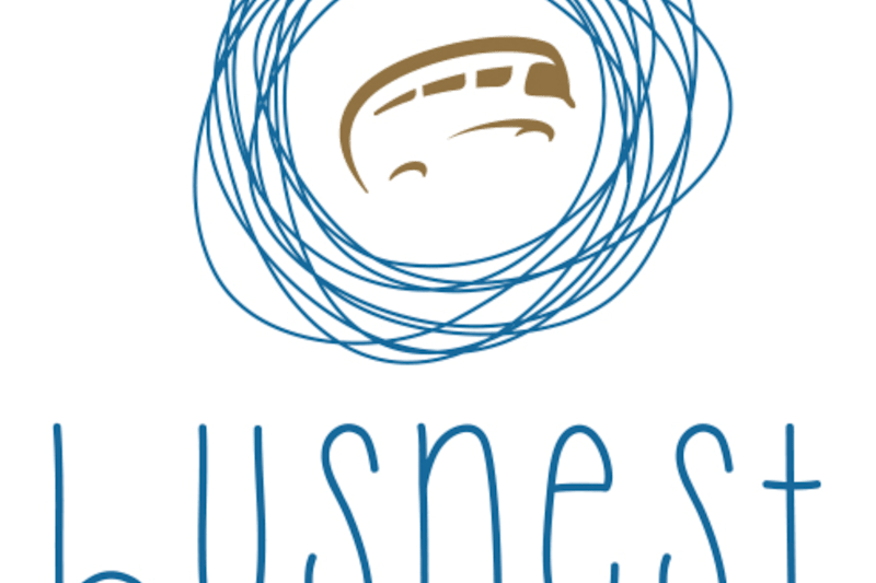 Cover image for busnest