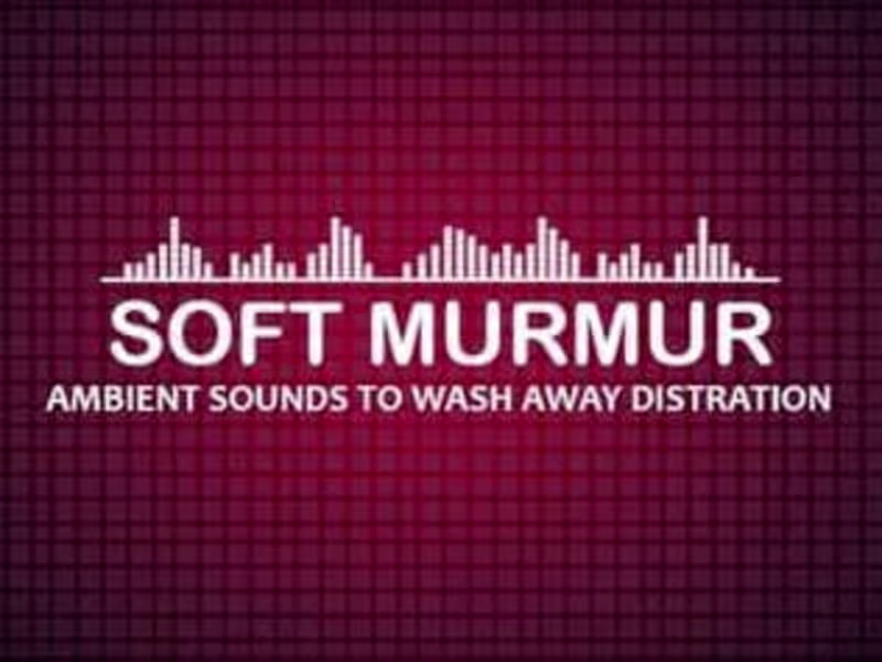Cover image for A Soft Murmur
