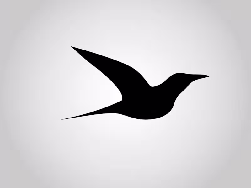 Cover image for 
Soaring Minimalism