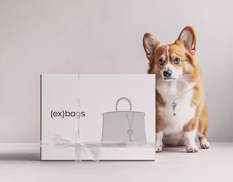 Cover image for EX. BAGS | PACKAGING DESIGN CONCEPT