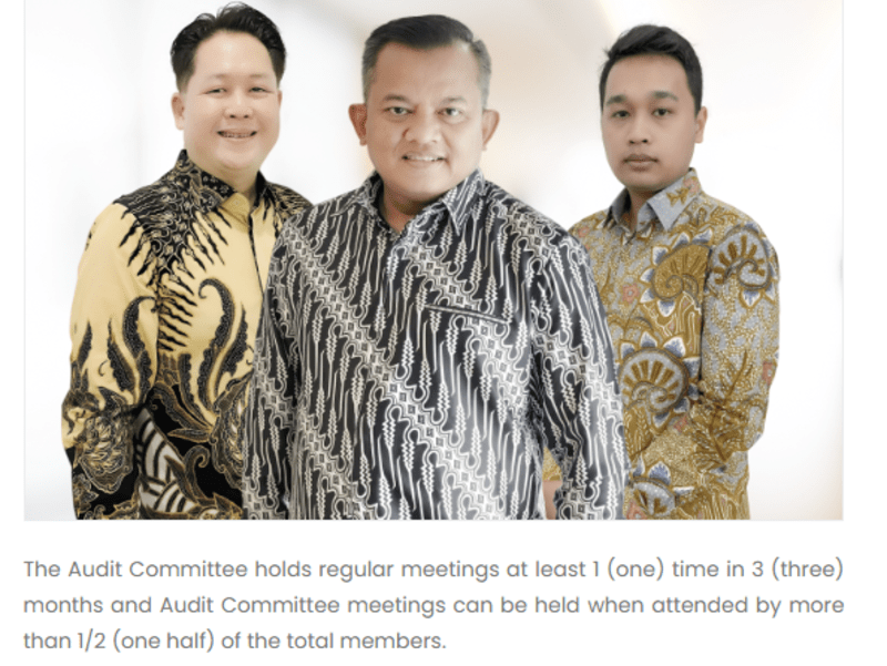 Cover image for Financial Advisory and Audit for Terramed Indonesia