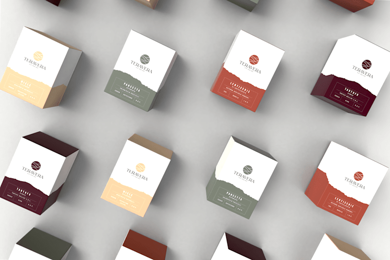 Cover image for Teravera on Behance