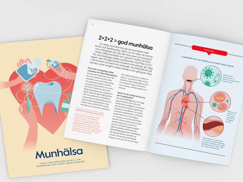 Cover image for Folder: Brush for the heart