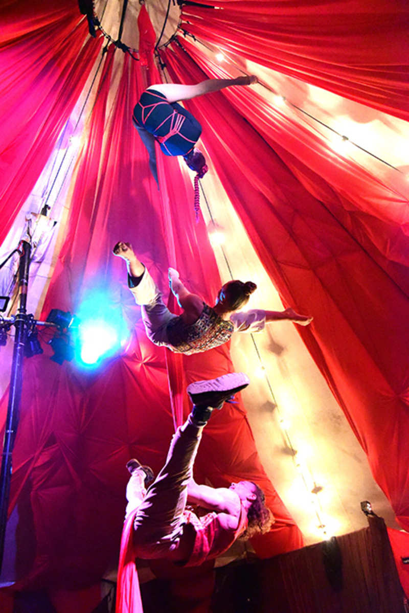 Cover image for Cirque de Sauté