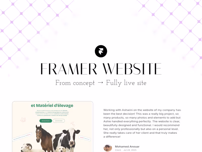 Cover image for Framer Design & Development