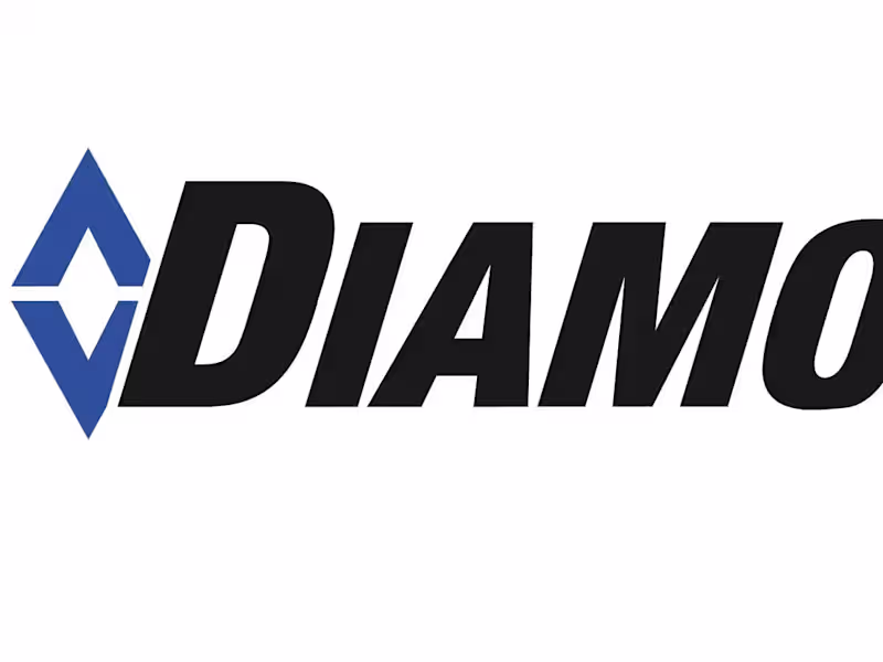 Cover image for ERP Audit