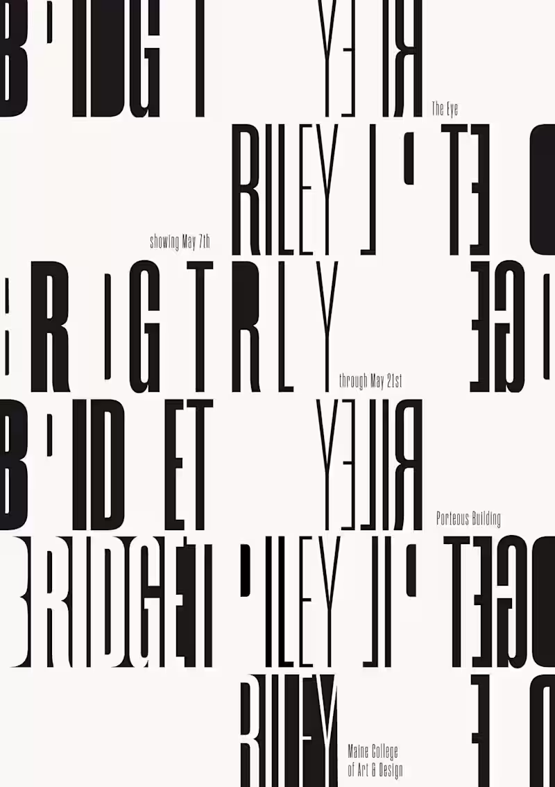 Cover image for the bridget riley