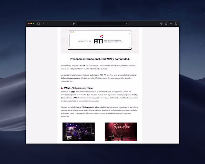 Cover image for Gestión y desarrollo del Email Newsletter mensual de AMI-PY