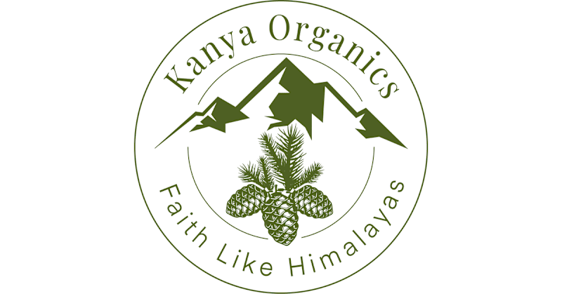 Cover image for Authentic Products