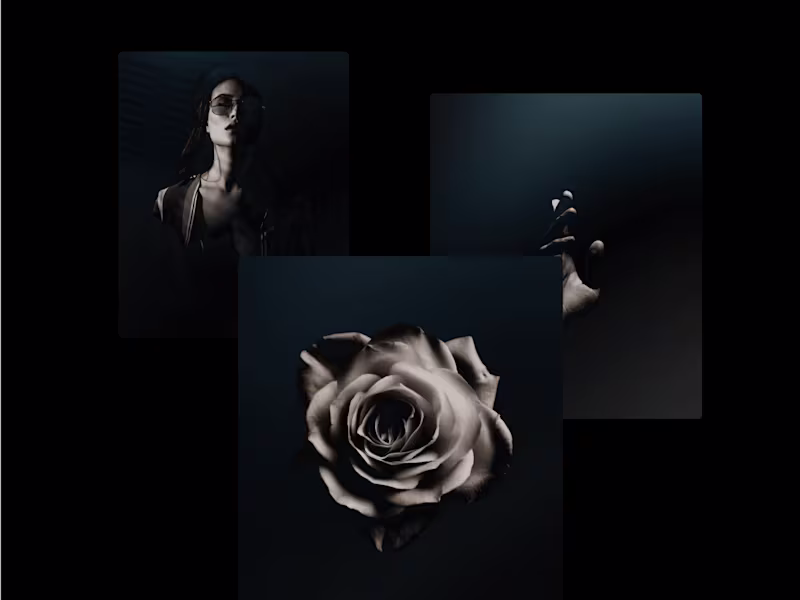 Cover image for Massalia ∗ Brand & Logo Design