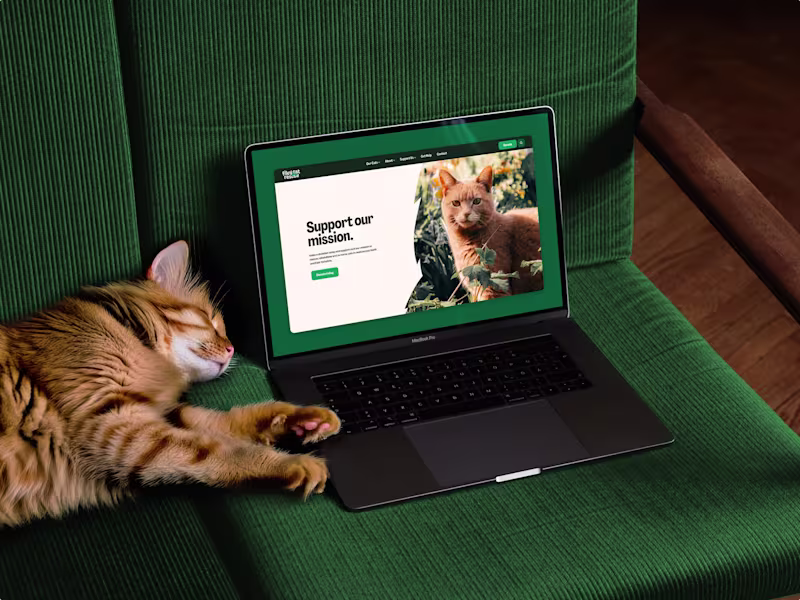 Cover image for Filey Cat Rescue