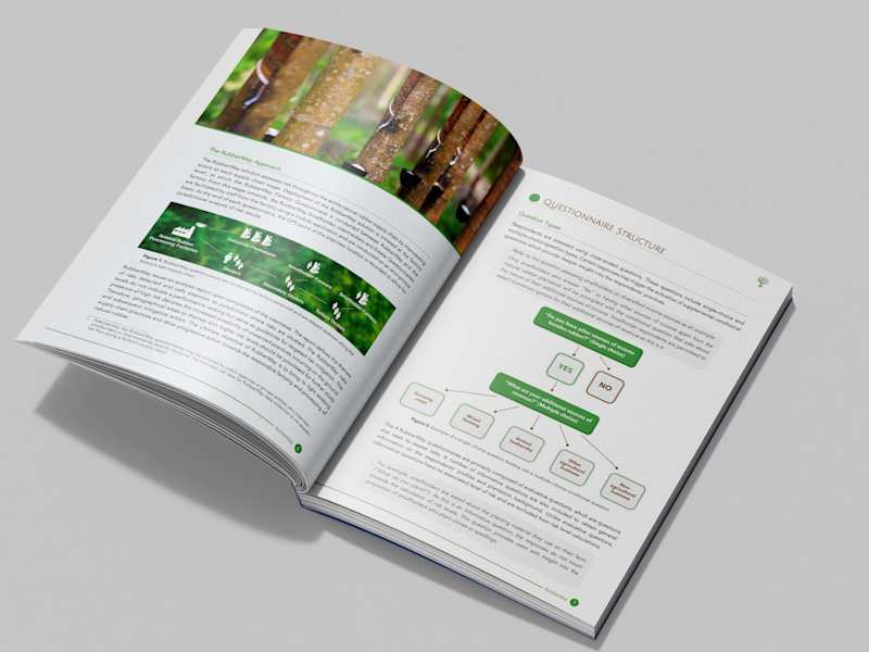 Cover image for Report Design