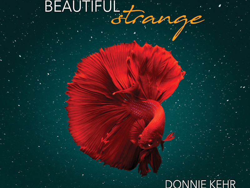 Cover image for katherine lucas