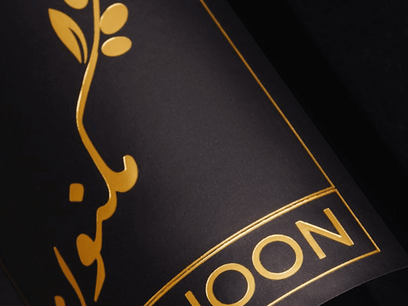 Cover image for Maknoon