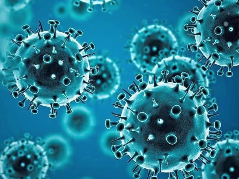 Cover image for DATA ANALYST