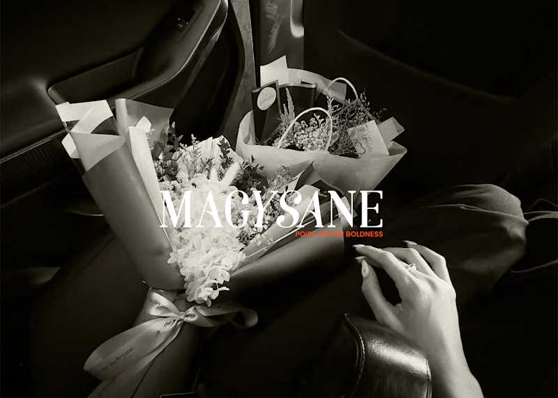 Cover image for Magysane: Brand Identity