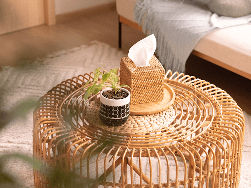Cover image for 
Yang Qi Home | Brand Identity Design
