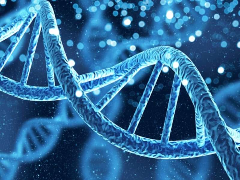 Cover image for What is AAV for Gene Therapy? - Target ALS