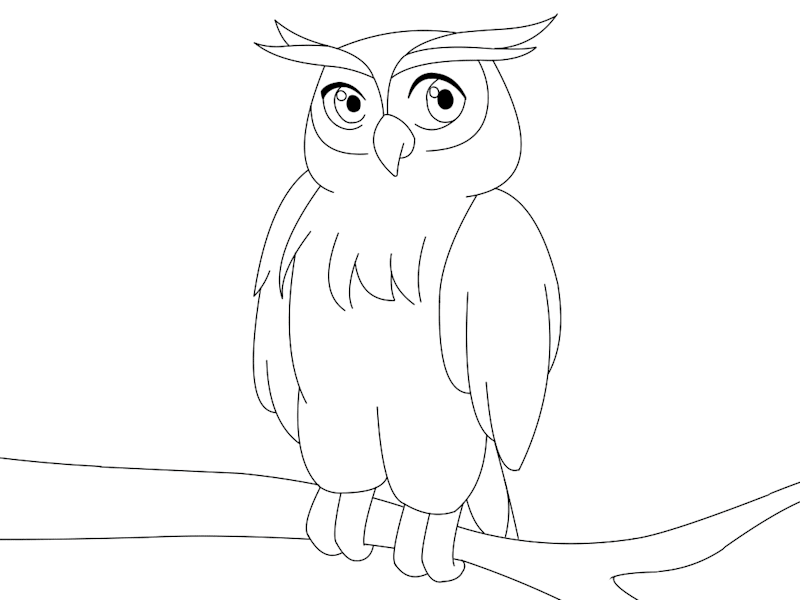 Cover image for Owl Animation