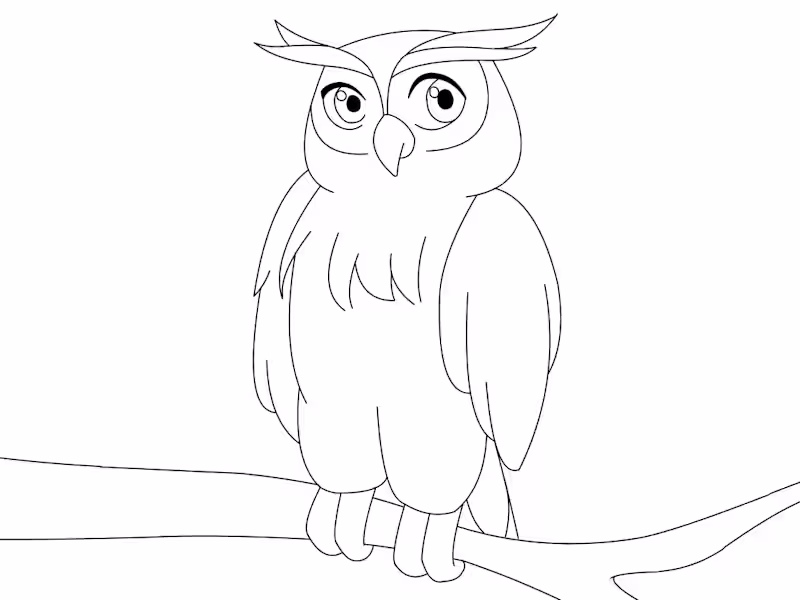 Cover image for Owl Animation