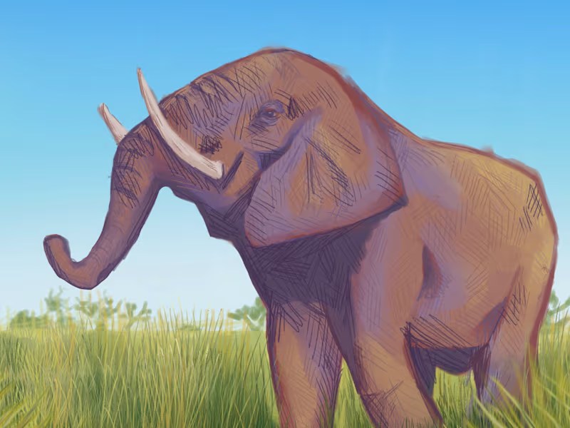 Cover image for Illustration