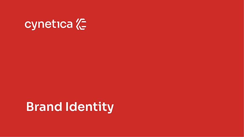 Cover image for Cynetica 