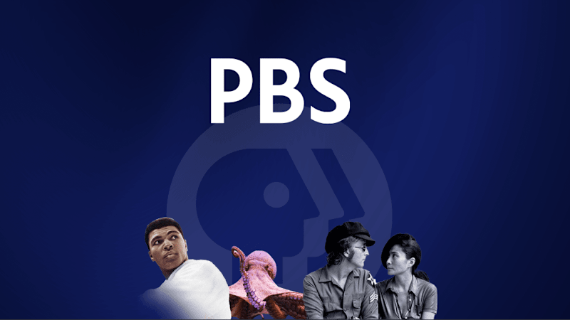 Cover image for PBS Streaming Ecosystem Design