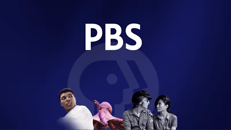 Cover image for PBS Streaming Ecosystem Design
