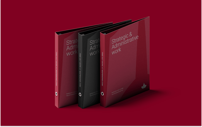 Cover image for Mapemond Brand Identity Design