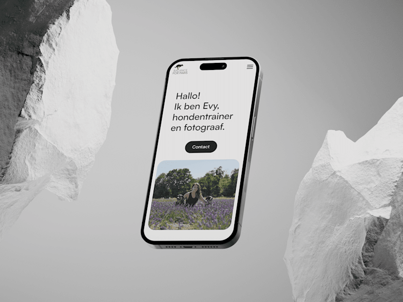 Cover image for Start package - a Framer Landing page to kickstart your business