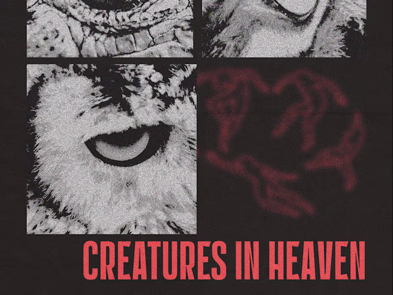 Cover image for Spunky Poster Design