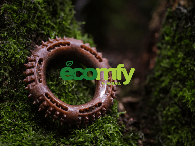 Cover image for Ecomfy I Brand identity