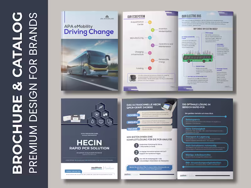 Cover image for Professional Brochure & Catalog Design (Print & Digital)