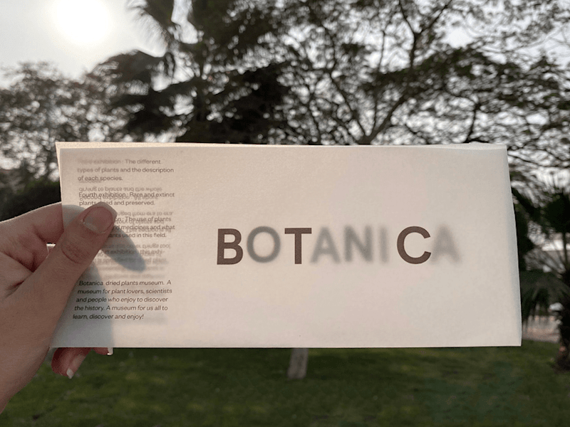 Cover image for BOTANICA Brand Identity Design