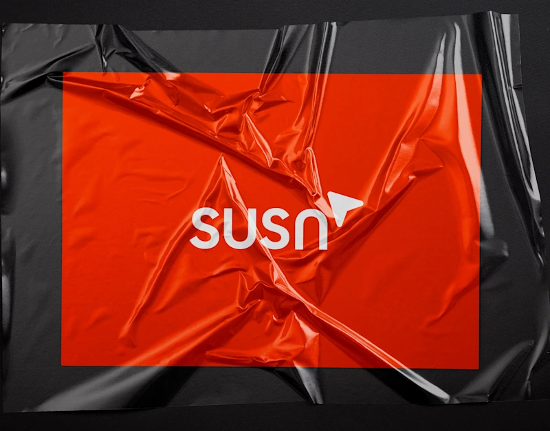 Cover image for SUSA — Branding