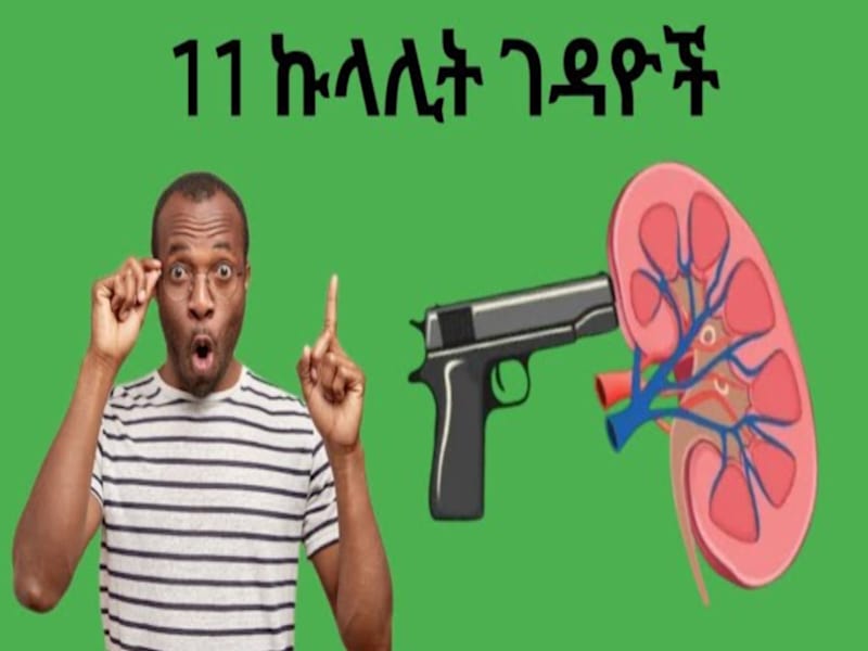 Cover image for 11 Everyday Habits That Can Damage Your Kidneys