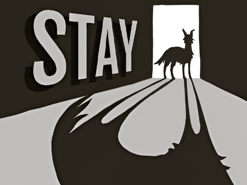 Cover image for "STAY" Pandemic Pet Survival Game