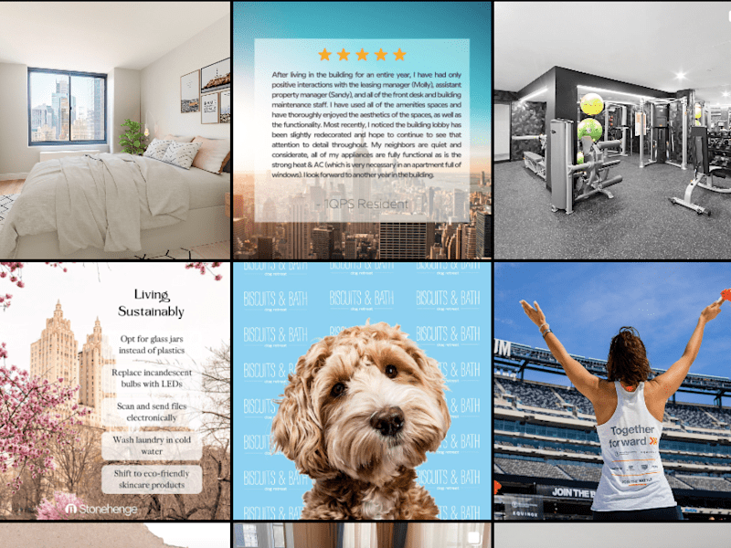 Cover image for Content Creation and Social Media Management