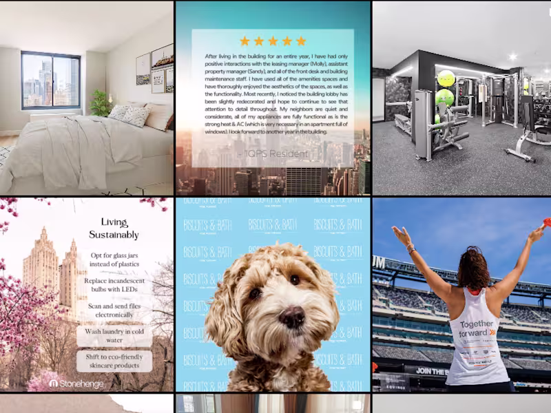 Cover image for Content Creation and Social Media Management