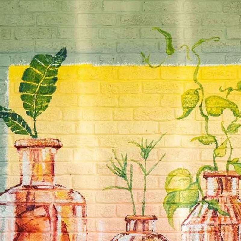 Cover image for Mural Design and Production