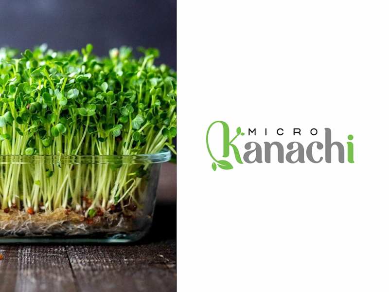 Cover image for Micro Kanachi Branding