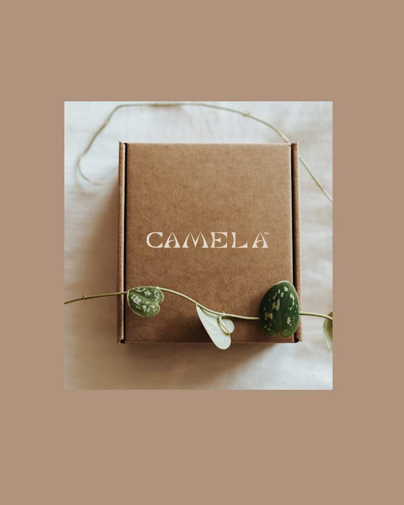 Cover image for Camela
